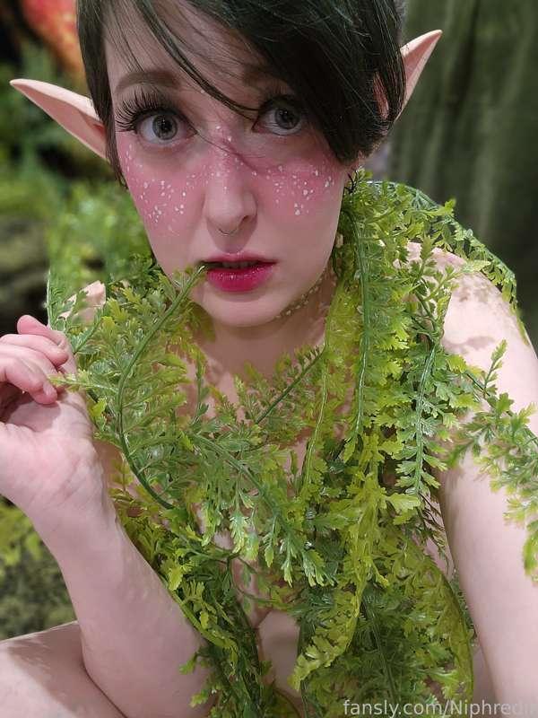 niphredil image #2
