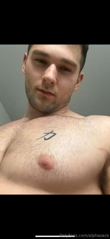alphazack image #4