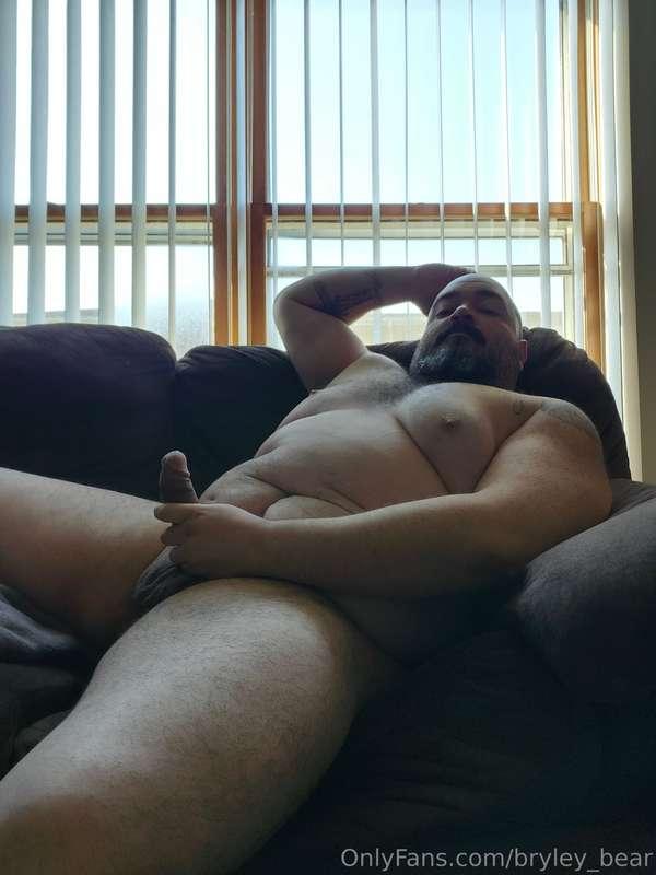 bryley_bear image #1