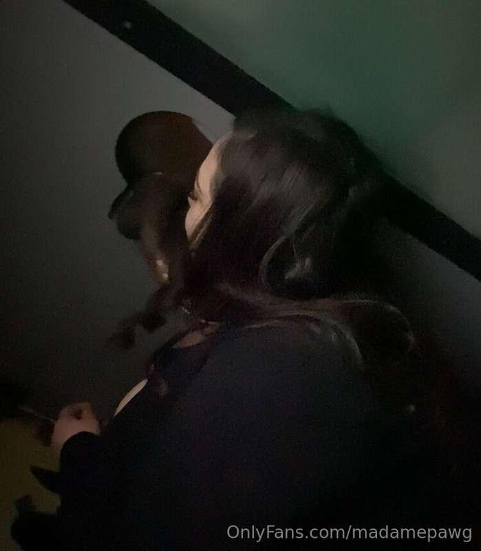 madamepawg image #35