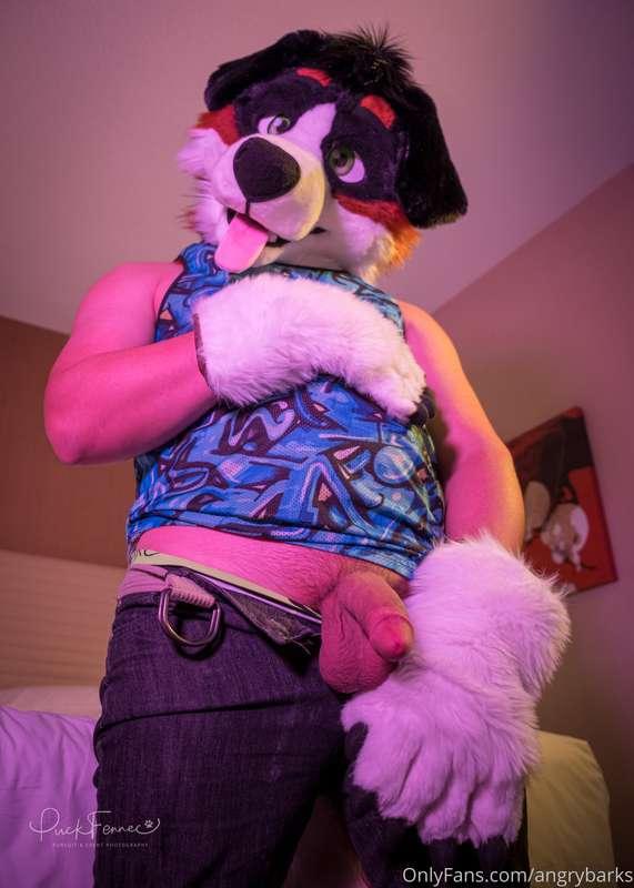 MFF Photoshoot with the incredibly talented Puck Fennec 💖 Wh..
