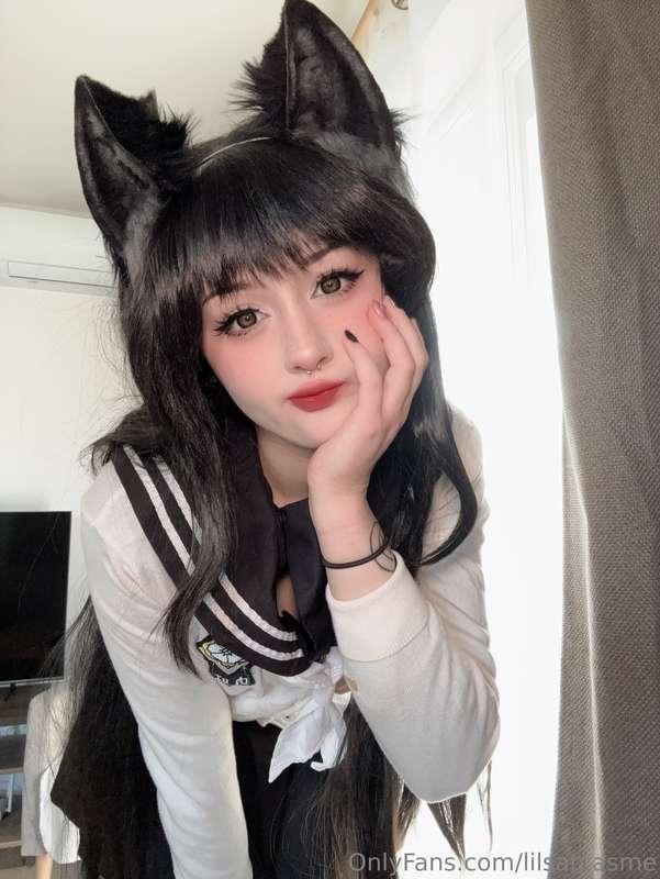 Cute lil' wolf 🐺