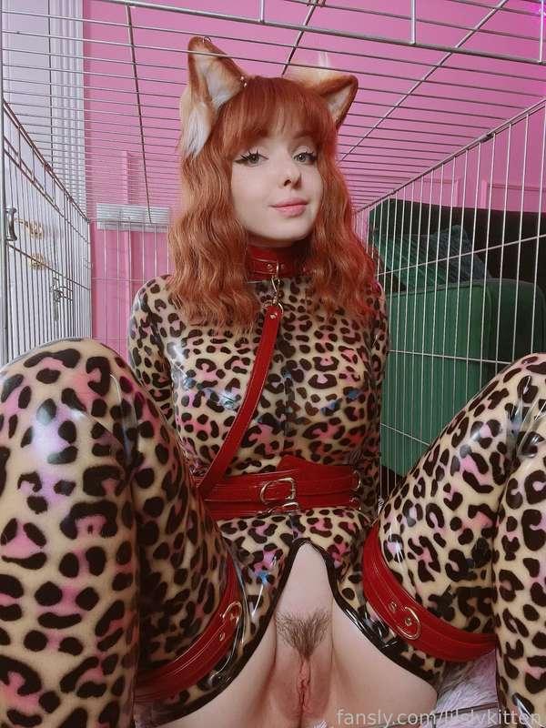 lilslvkitten image #5