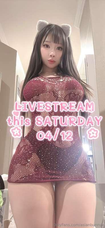 :> EHE LIVESTREAM UPDATE!