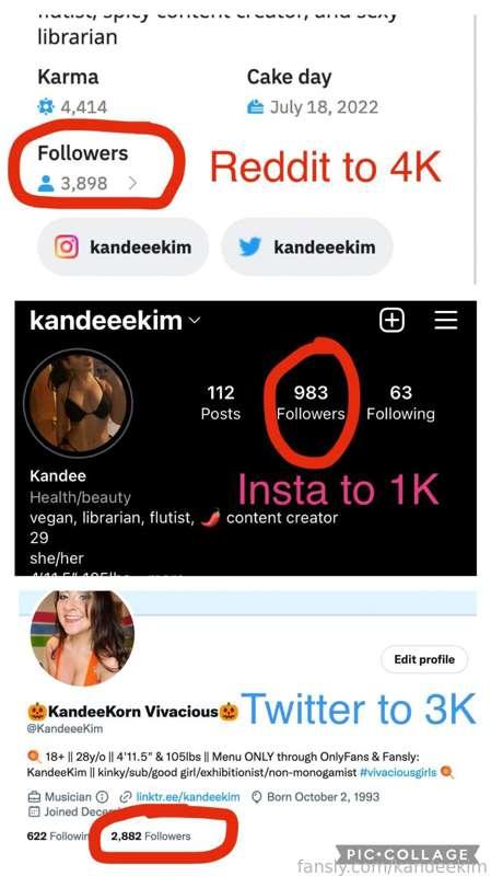 Please remember to like today's and yesterday's post to win a free wheel spin (details in yesterday's afternoon post)!  Also, I imagine you found me through my social media but if you're not following me on twitter, Instagram and reddit please go follow me on all 3!  I have some follow goals for the end of the month!  (links in profile)