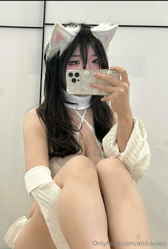 here kitty kitty kitty ◕⩊◕