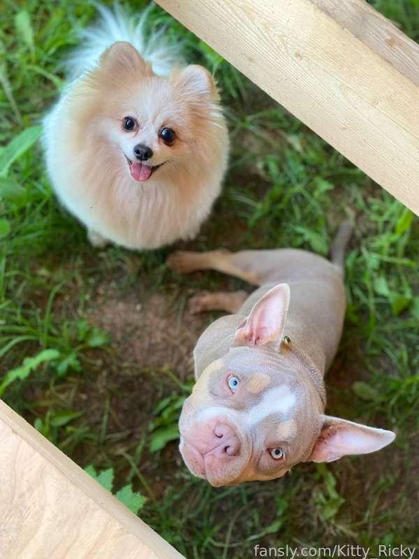 kitty_ricky image #2