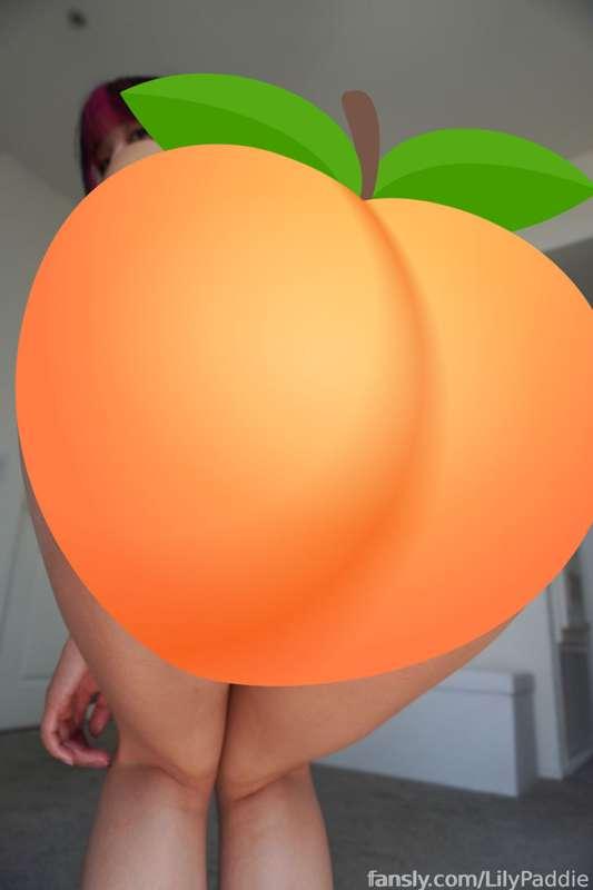 lilypaddie image #1