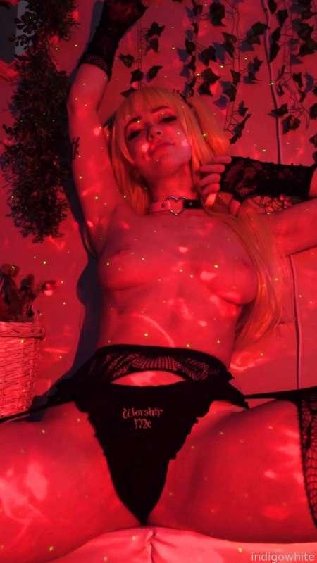 indigowhite image #28