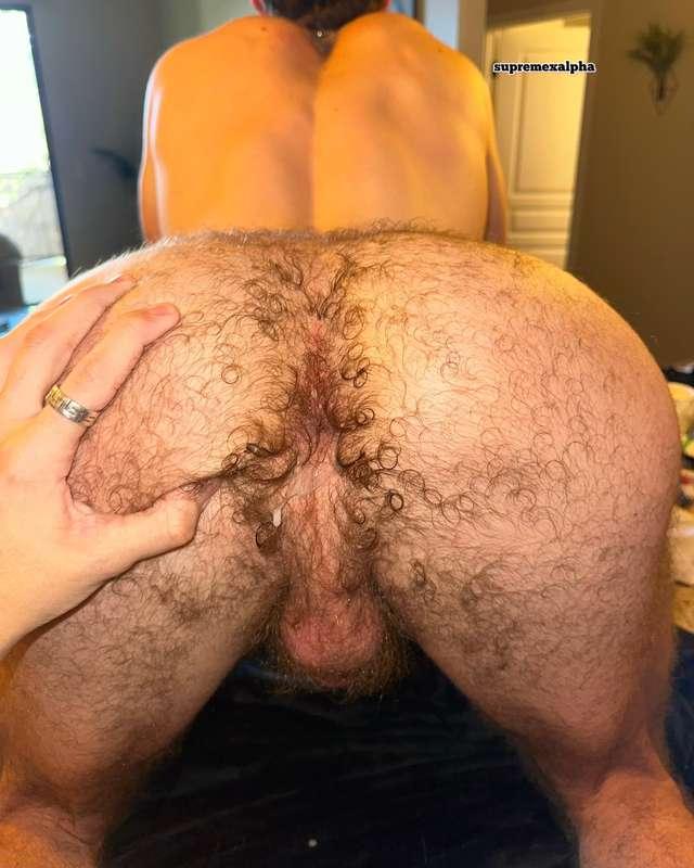 supremexalph image #0