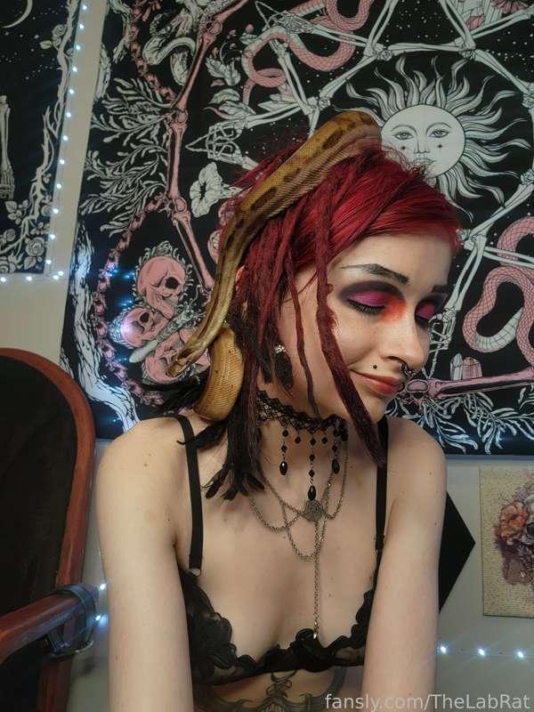 thelabrat image #0