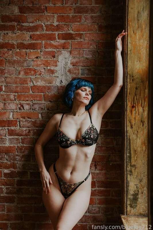 bluejay712 image #5