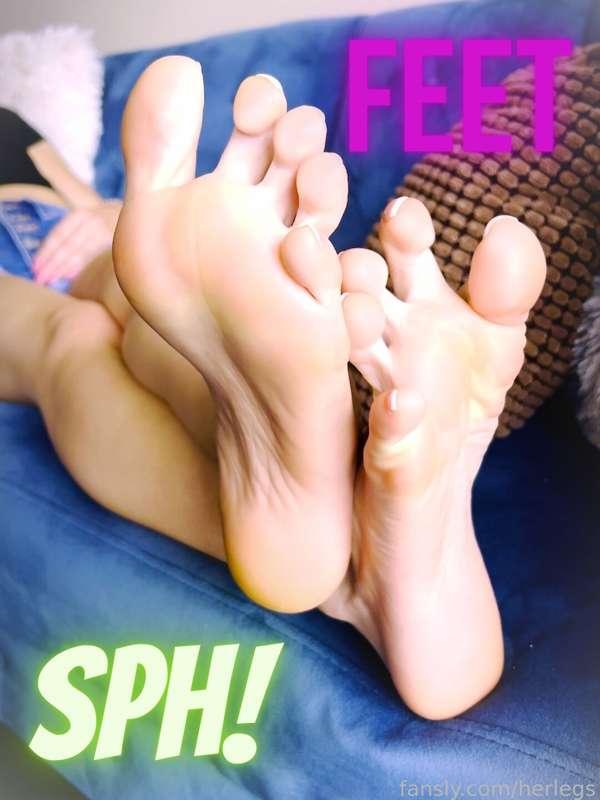 herlegs image #0