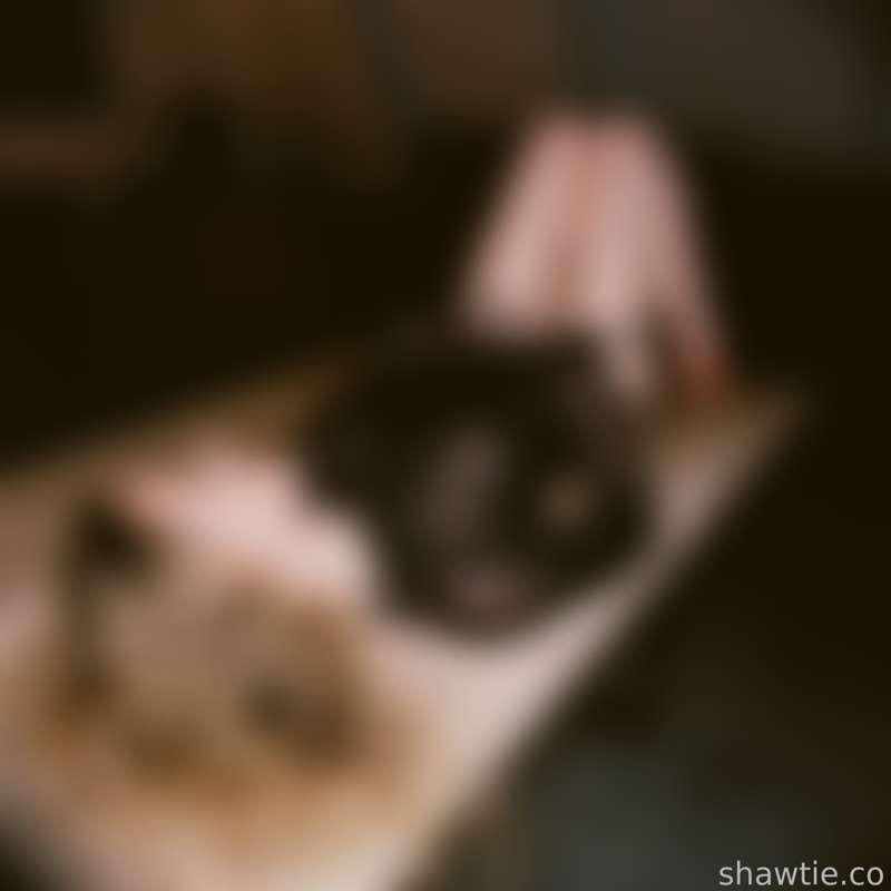 shawtiee image #1