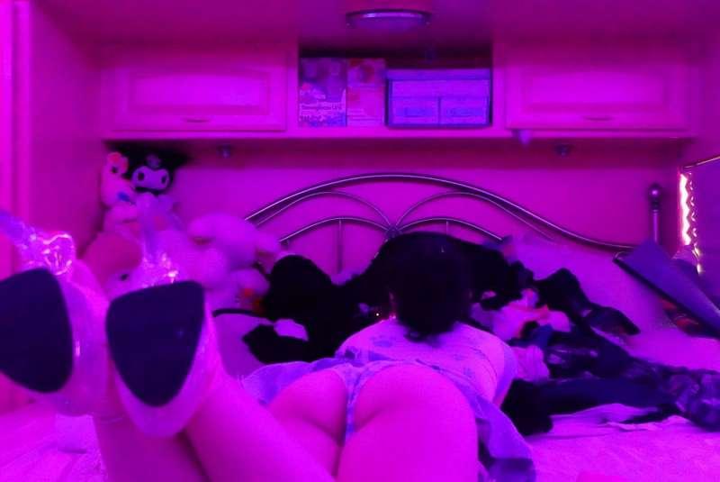 petiteroxie image #1