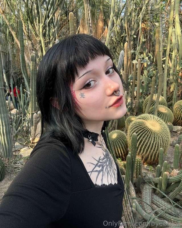 Let it be prickly on the outside, but always blossoming on t..