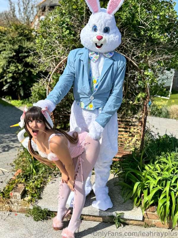 The Bunny has different ideas... I stole all of his eggs in ..