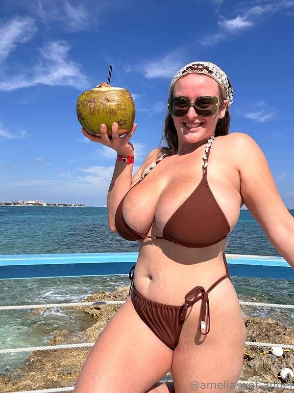 Do you think this coconut is as big as my coconuts?