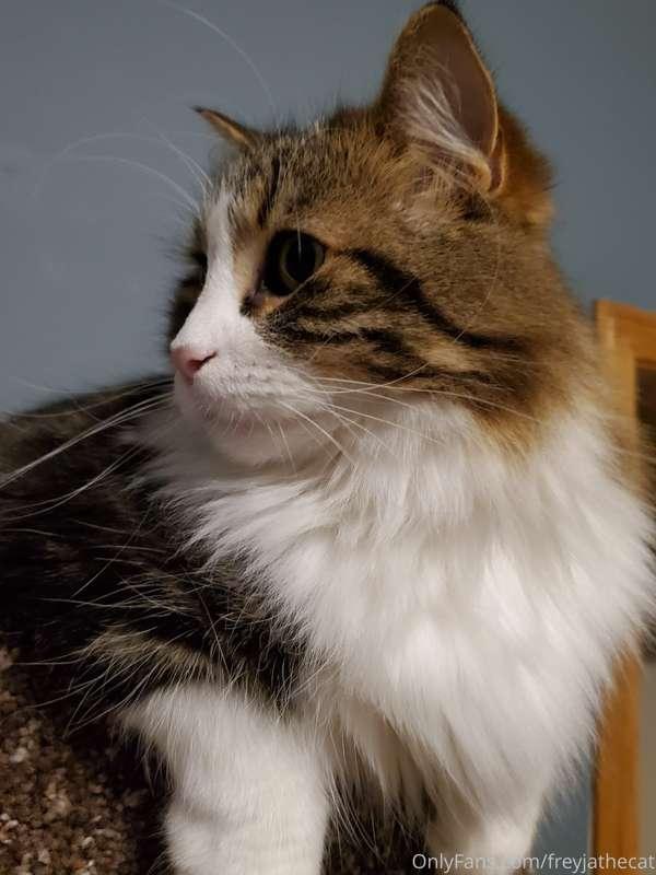 Nothing fancy this week, just surveying my kingdom from atop..