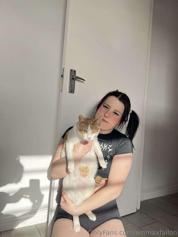 🐱🐱
