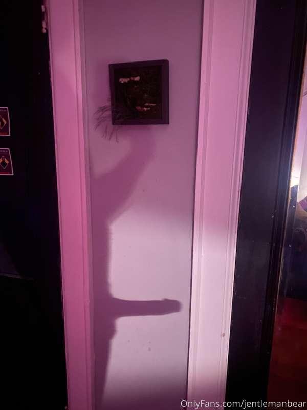 jentlemanbear image #1