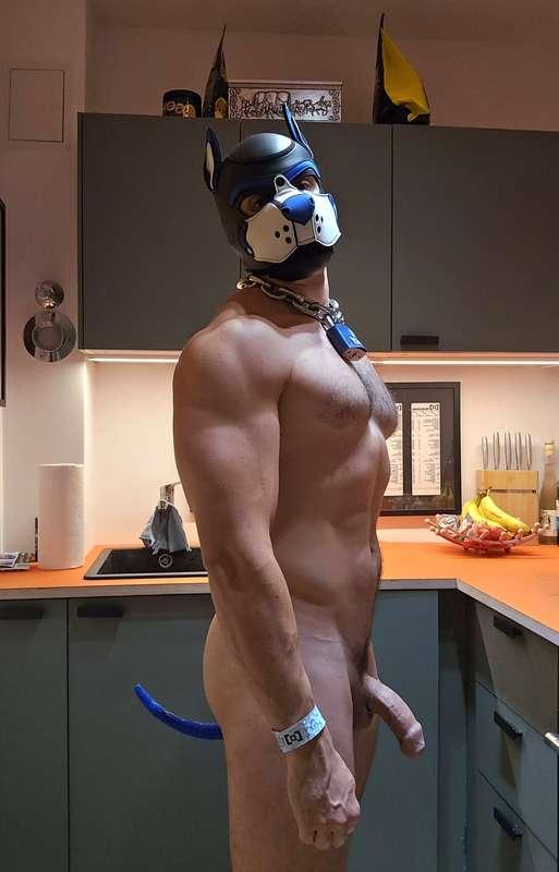 2 tails 1 dog.Which one you pick? 😈
