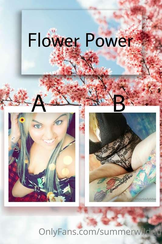 🏆 FLOWER POWER 🏆 Quarter-Finals  A: @calitn0704 B: @moonlady..