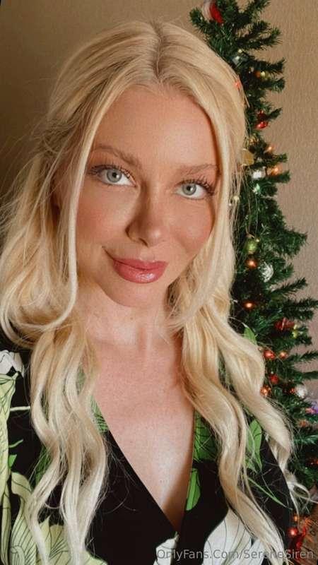 Merry Christmas / Happy Holidays to Everybody!!