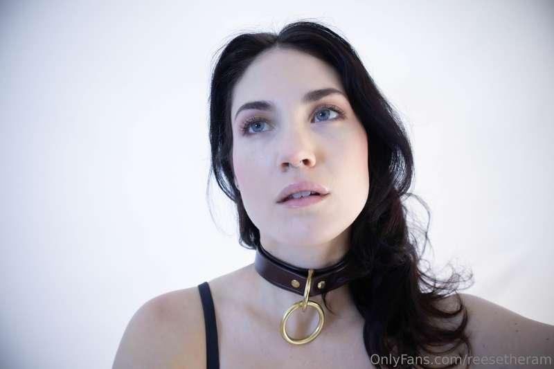 In the DS brass and brown collar