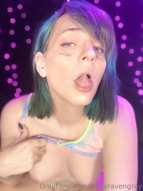 transravengray image #4
