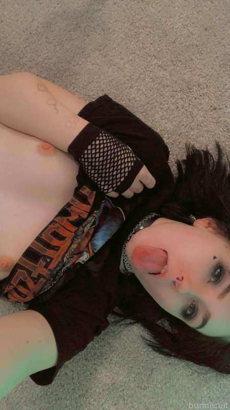 bunniicult image #4