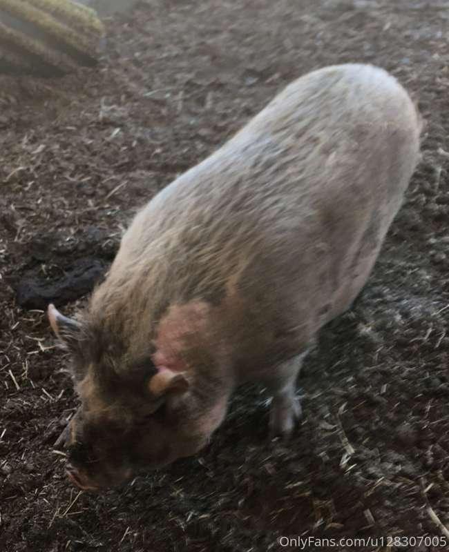Thought I would let you take a little trip around the farm y..