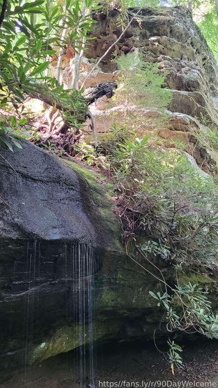 holisticsensual image #5