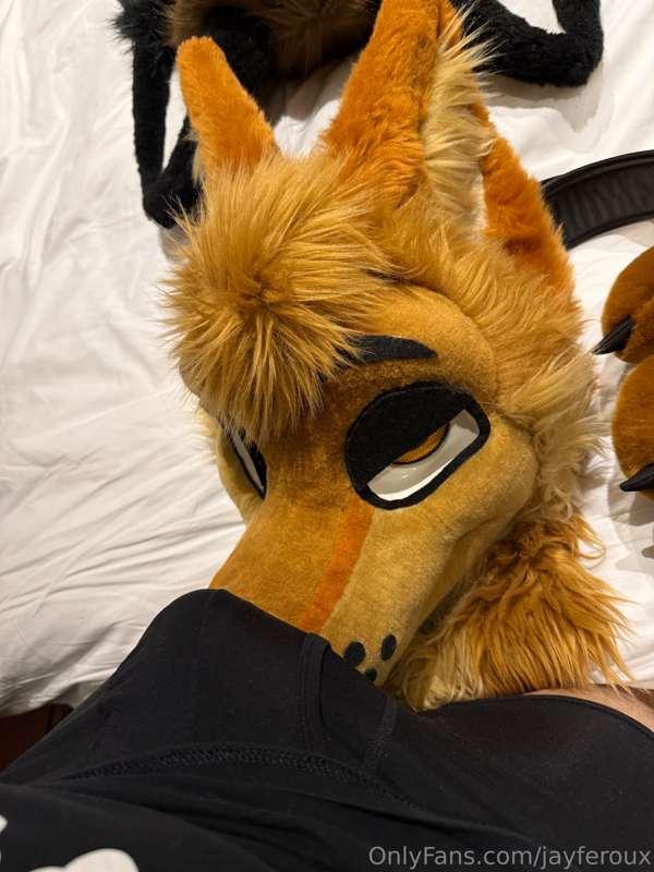 Yote time 👀? 