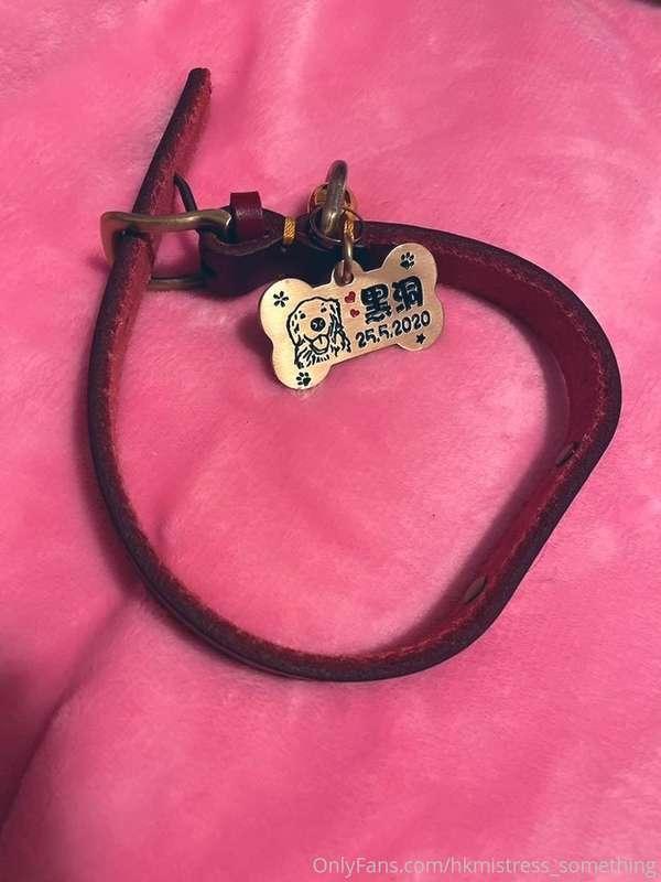 主人 送比 #女奴 嘅真皮頸圈 仲有特製嘅名牌  做咩啊？ 你見到人哋有 又想要啊？  可惜啊 可能你做狗奴咁耐 連屬於..