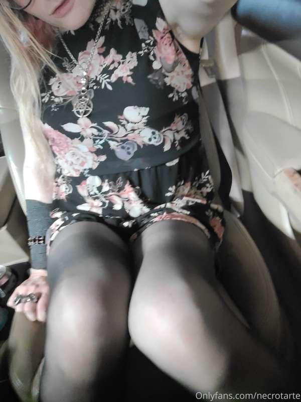 latrodectushex image #6