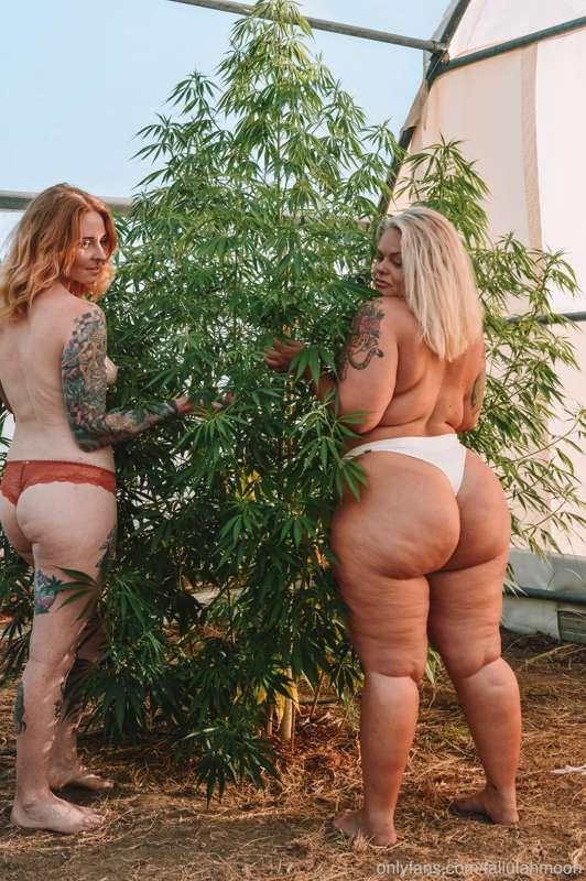 tallulahmoon image #4