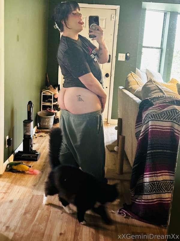 My cat photobombed me