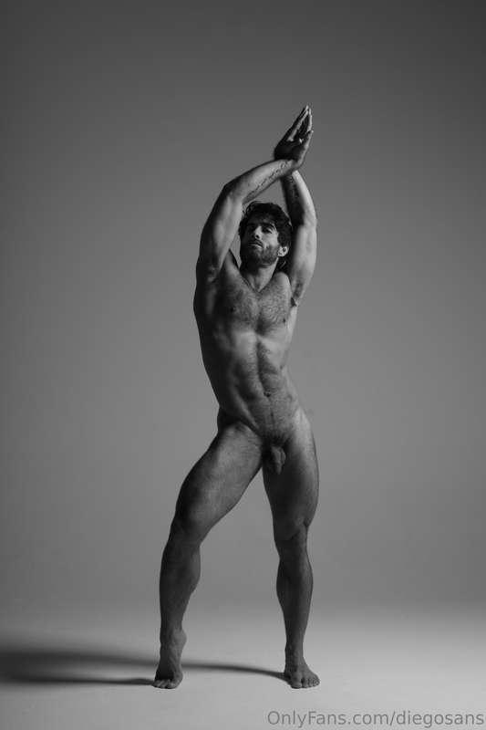 diegosans image #7