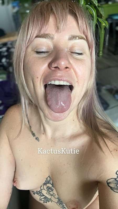 kactuskutie image #1
