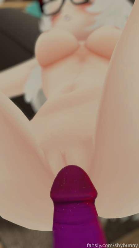 shybunny image #1