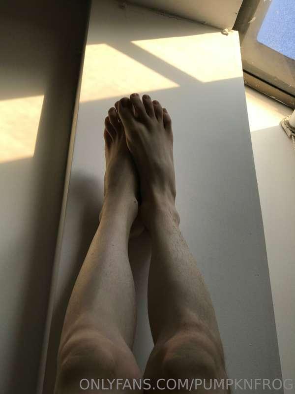 maplefroggy image #4