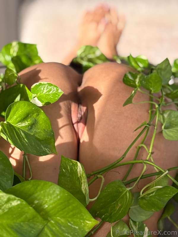 Nature comes to life 🌿 Anyone enjoy natural beauties like th..