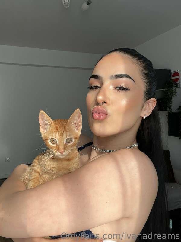 😽😽