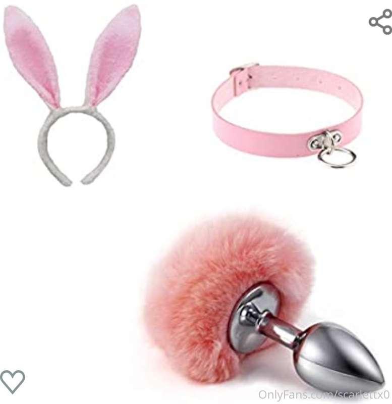 Should i get this to make content with? 🐰🐇