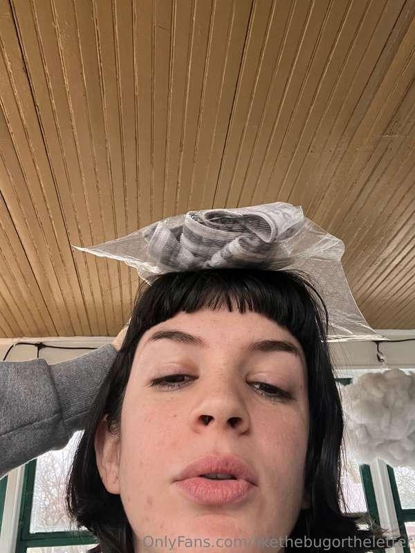 likethebugortheletter image #8