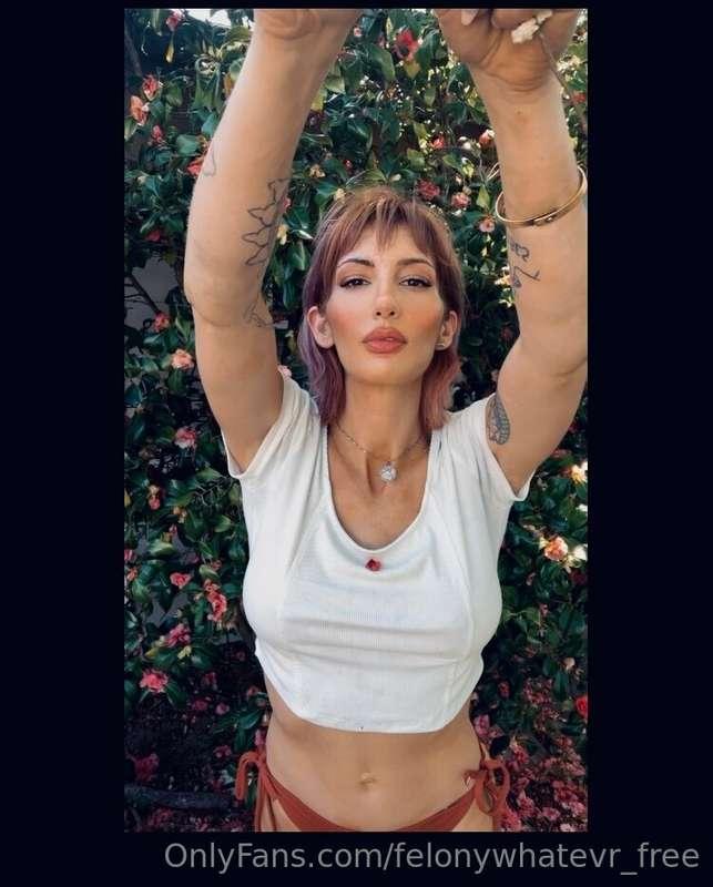 🌺🌸🌼🥀🪷🌼