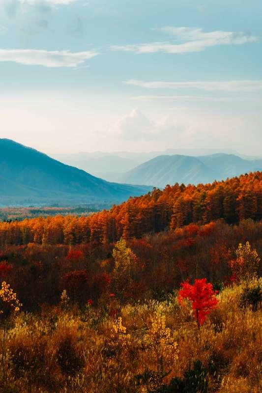 A Mini Compilation of Autumn