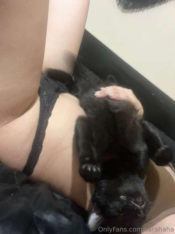 Do you like Cats ? 🖤👀