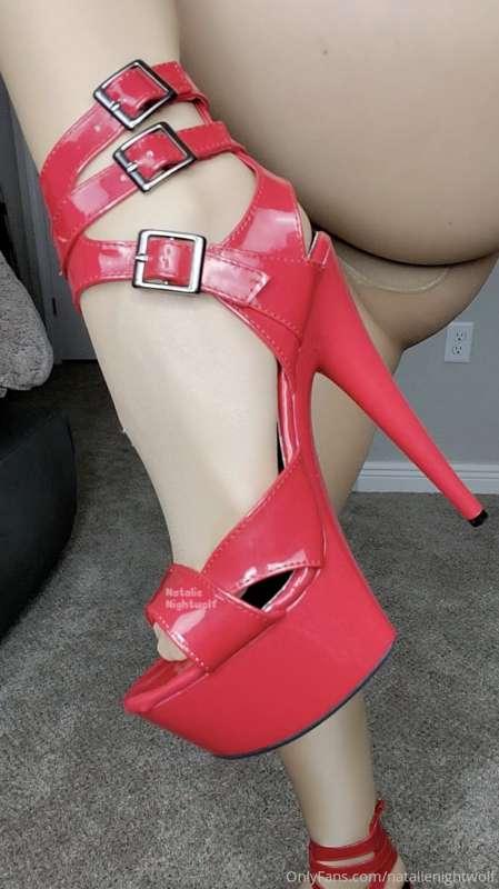 natalienightwolf image #1